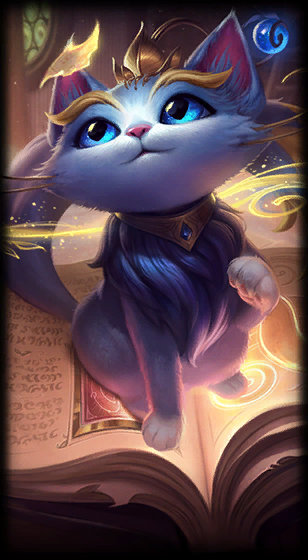 前场组织 前场组织